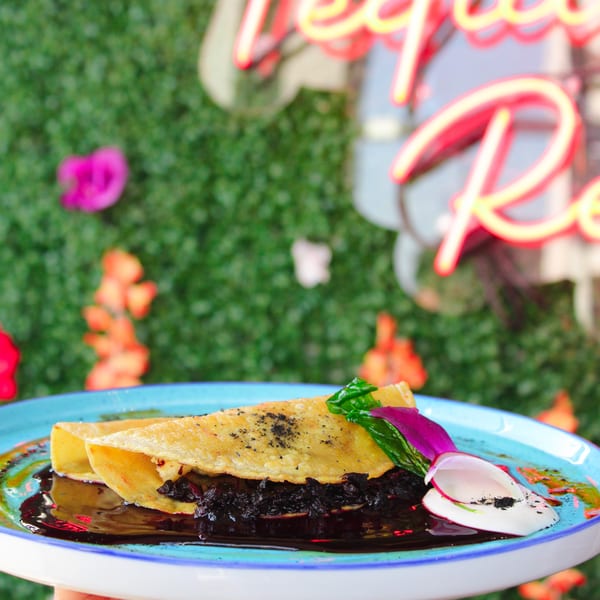 Mexican dish with two golden tortillas filled with dark mole, garnished with radish and greens.